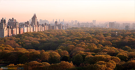Central Park à New York (Etats-Unis)