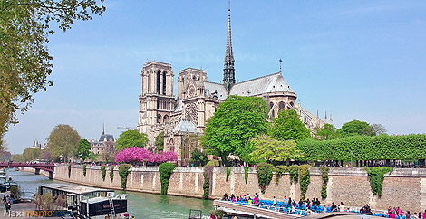 Cathédrale Notre-Dame de Paris (France)