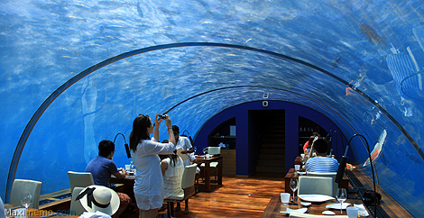 Restaurant sous la mer Ithaa du Conrad Rangali Maldives Island