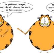 Un peu d'humour en image !