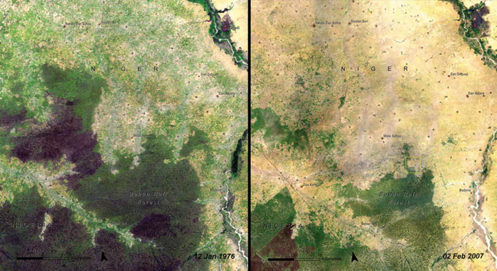 Поменяться участками. Вырубка лесов до и после. Космический снимок вырубленного леса. Вырубка леса до после из космоса. Леса снимок из космоса вырубка до после.