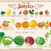 Alimentation