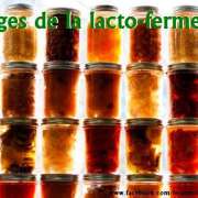 Alimentation