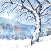 Aquarelles