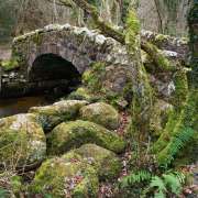 Sujets à peindre