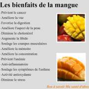 Santé