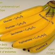 Alimentation