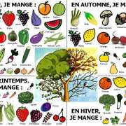 Alimentation