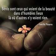 citations