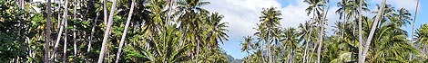 Moorea (Fench Polynesia)