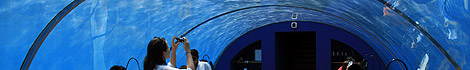 Restaurant sous la mer Ithaa du Conrad Rangali Maldives Island