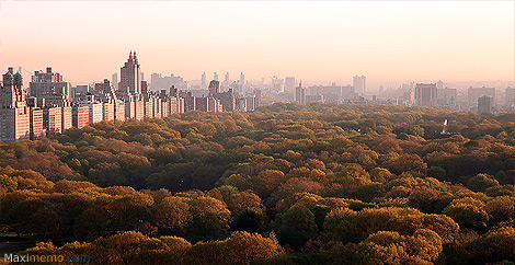 Central Park à New York (Etats-Unis)