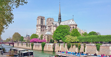 Cathedral of Notre Dame de Paris (France)