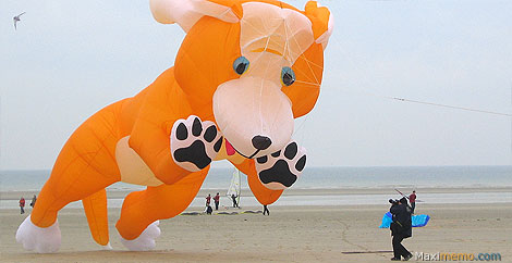 International Meetings of kites in Berck (France)